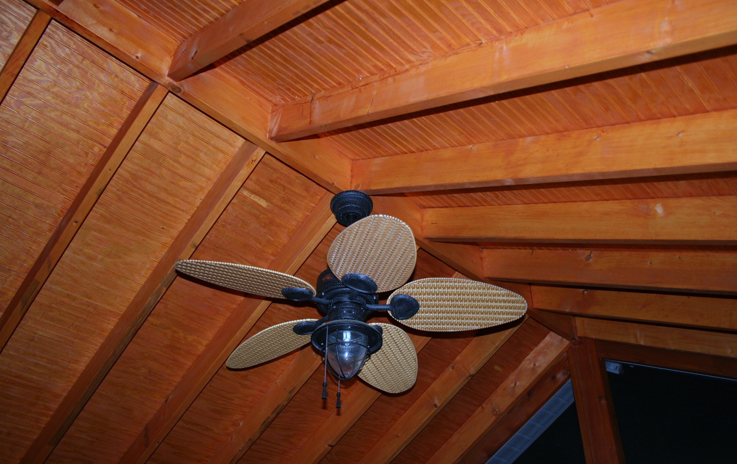 Screen Porch Ceiling